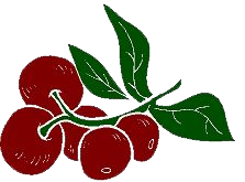 Cranberry Irrigation & Landscaping